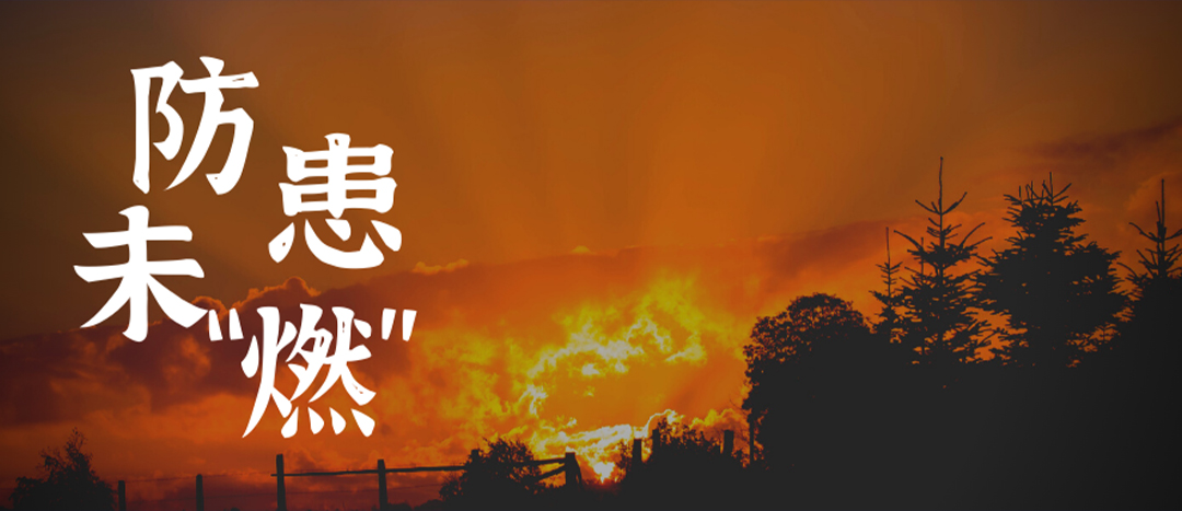 <strong>拉起心中防前方，防患未“燃”护安然——Z6官网化工进行消防应急分散演练</strong>